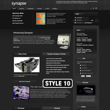 synapse 2